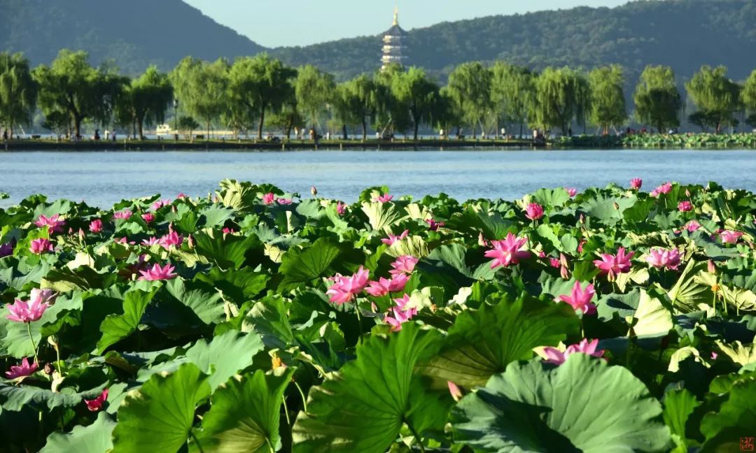 3,西湖风景区,驾车20分钟.