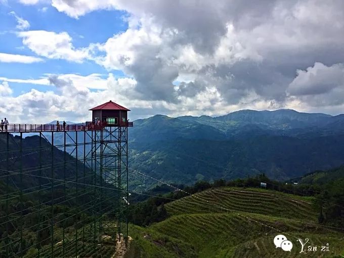 国庆玩转周宁周宁九龙漈鲤鱼溪住仙凤山木屋赏百亩高山茶园自驾2日