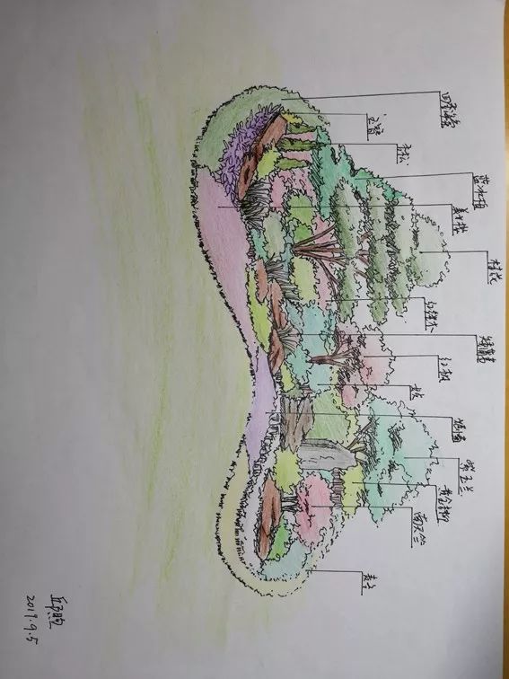 手绘花境师必备新技能大师领你进入手绘新天地