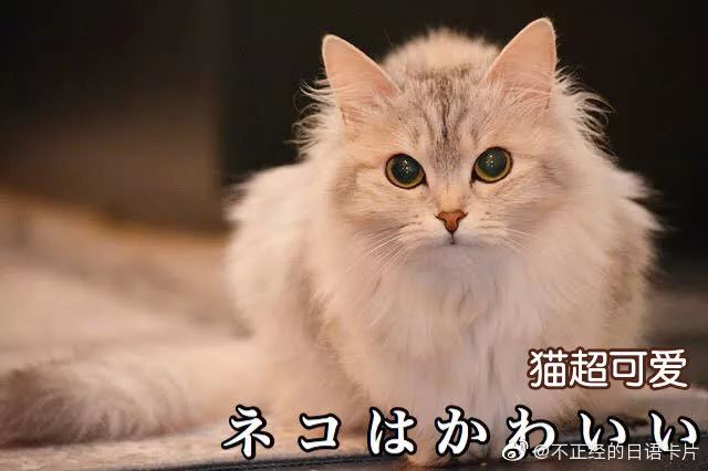 b3d15811eac144c6973f8561a57ef503.jpeg