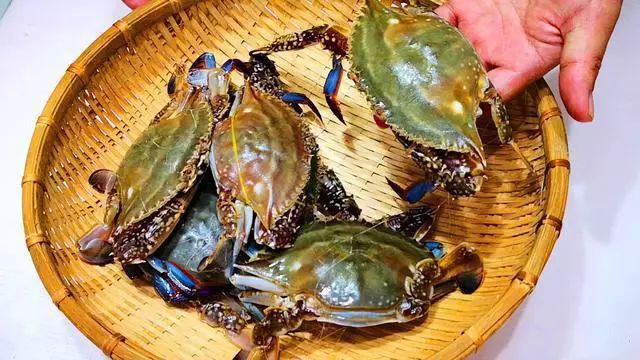 螃蟹蒸多长时间才能熟啊 b40f80c6c45a4a8891d372e3b701e1bc.jpeg