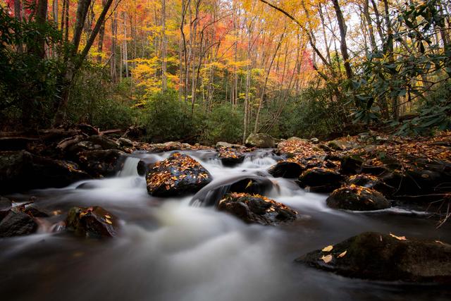 飞流直下三千尺 疑是银河落九天猜成语