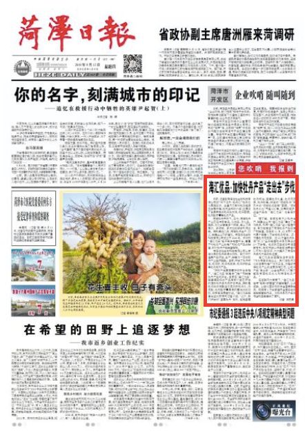 海汇优品运用“电商+新零售”的营销模式加快菏泽牡丹产品“走出