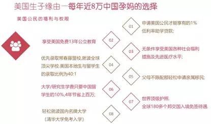 人口普查报出生表格_人口普查表格图片(2)