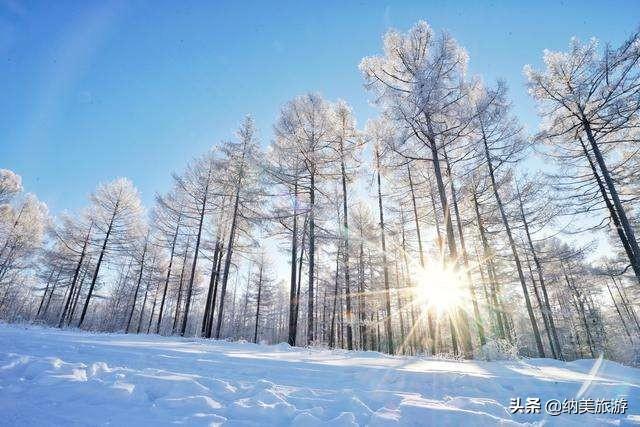 漠河下雪了!你那儿多少度?