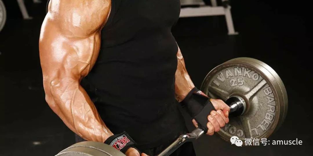 普通人健身哑铃多少斤 d7eddf162dfb402f8787da23b10518d5.jpeg