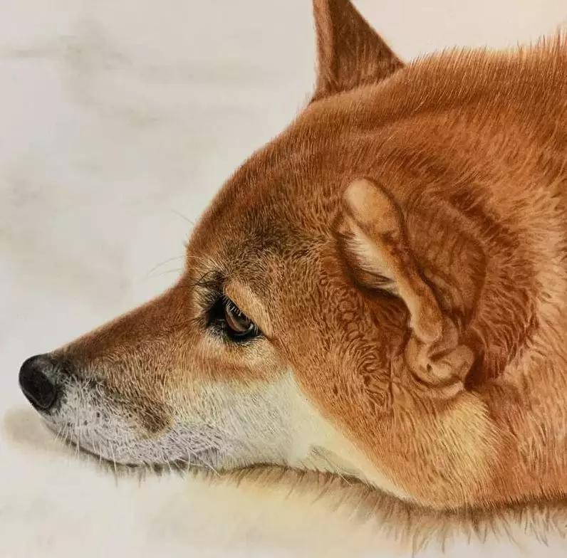 著名日本画家 畠中 光享画伯作品 座 柴犬
