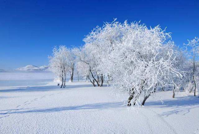 下雪啦!漠河迎入秋后首场降雪,比2018年提前了25天