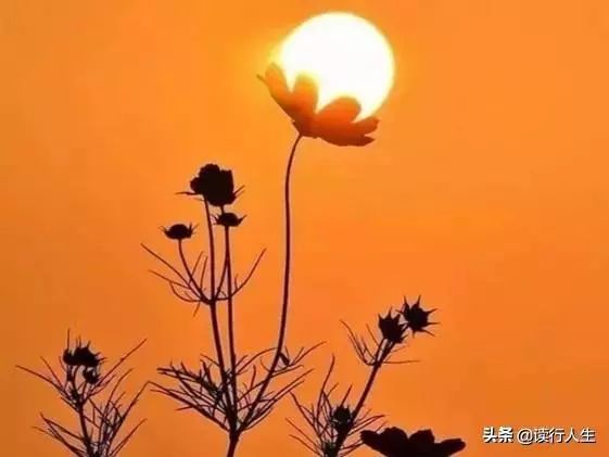 怎么样才能真正的做到善良 e295107103604788a6fd4fbf6341d213.jpeg