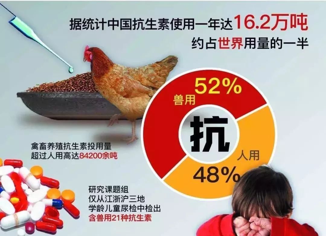 抗生素滥用