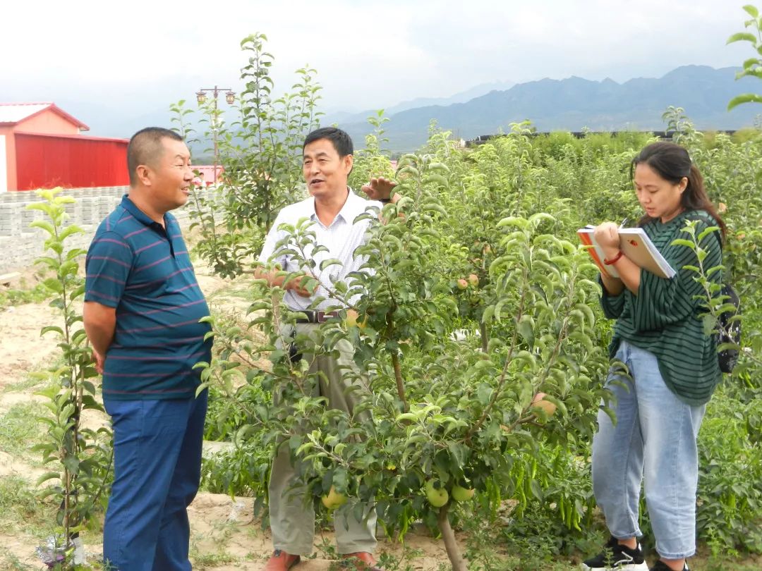 葡萄老总_葡萄卡通图片(2)