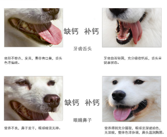 f769712e6eb4442a939a9d6f32724e4c.png