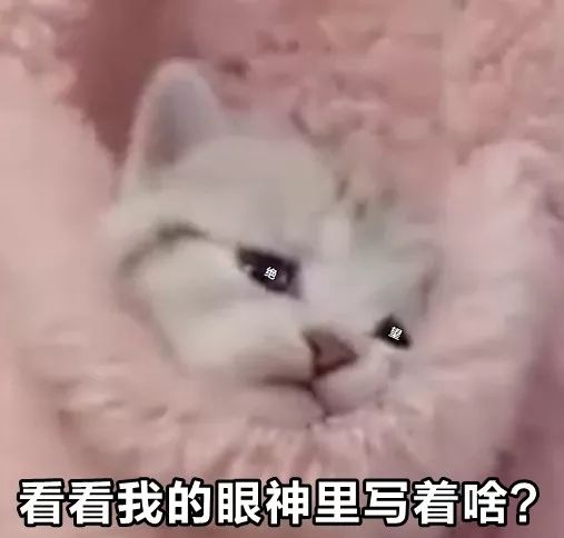fad3a0d338214d6ab8bf37d71a1802ea.jpeg