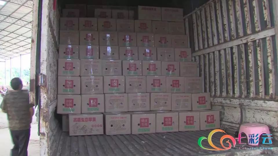 搭上电商快车：鲁甸苹果“红”遍全国