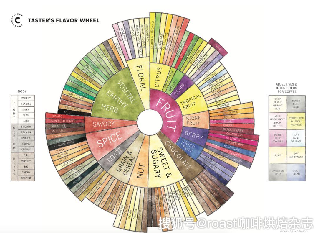 roast咖啡烘焙杂志|世界咖啡新闻 |咖啡品种和加工如何影响口感