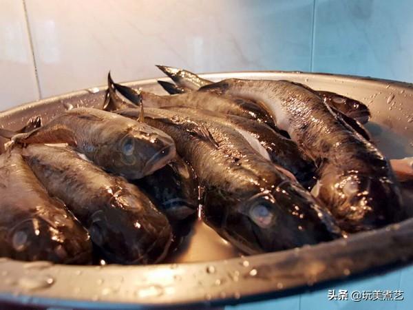 什么时候没有小杂鱼 163e2451058a451d9ff3588cd1861ad3.jpeg