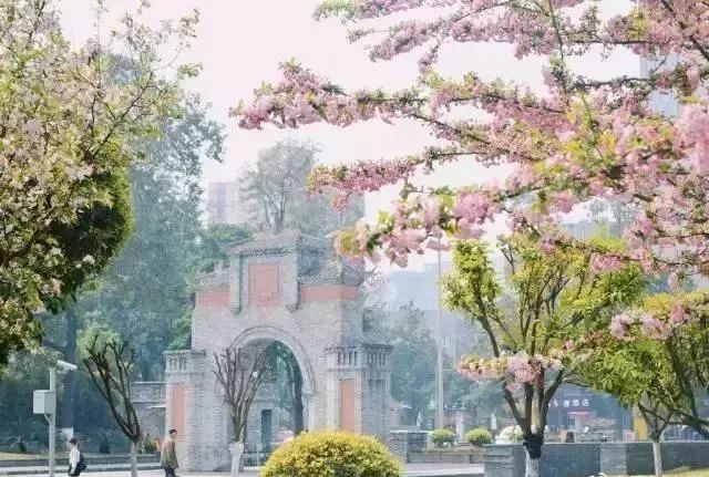 成都高校的f4出炉有颜又有料这四所大学超骄傲