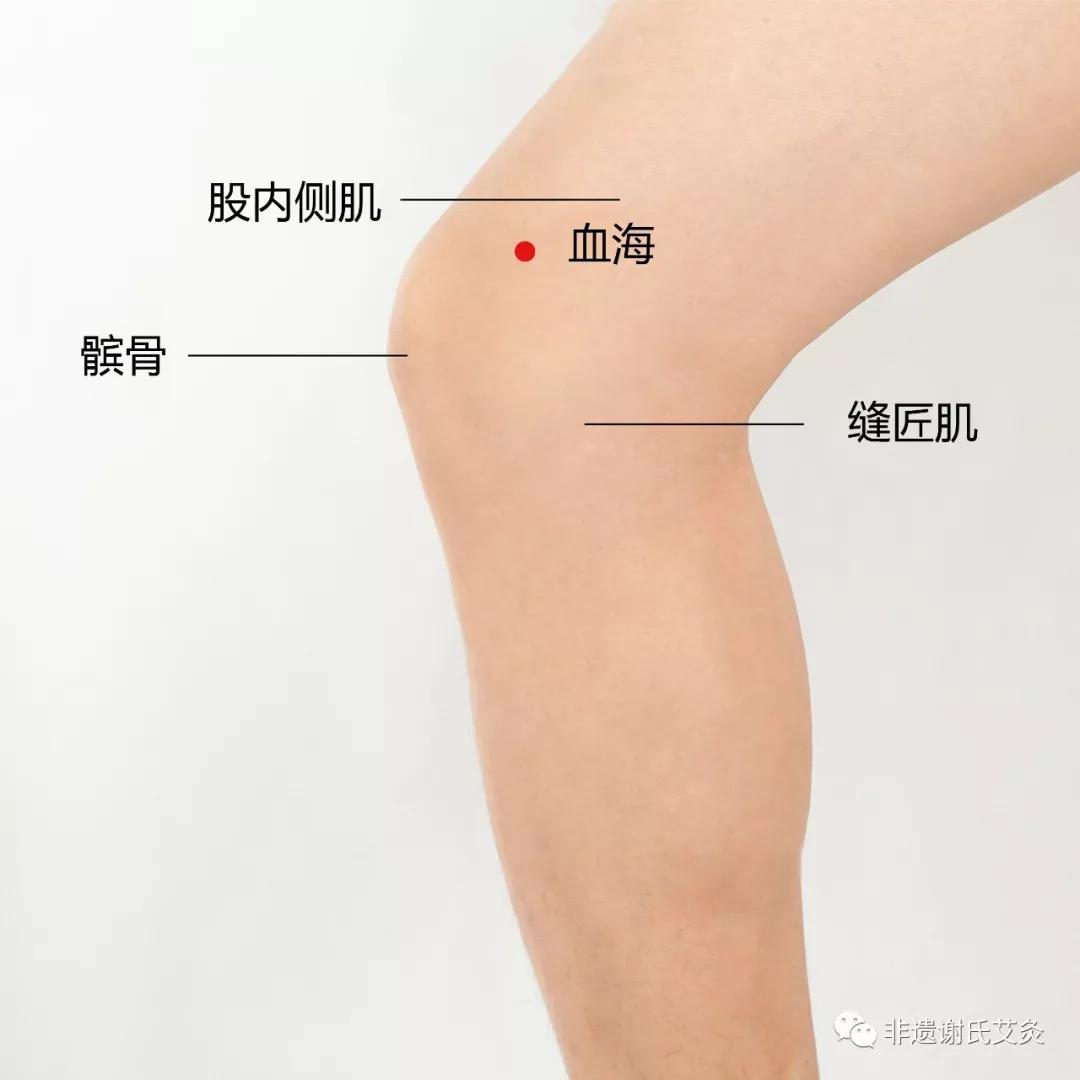 三阴交穴的图片 2分钟看完女性整个生理周期 大阴外唇长了小水泡是