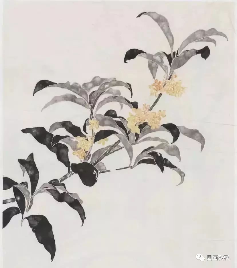 CQ9电子 CQ9传奇电子【国画教程】《桂花》画法步骤(图2)