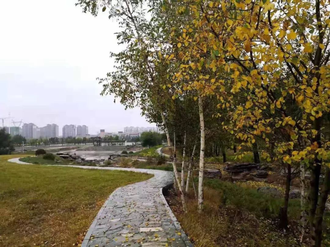 张北牛人口哨_张北草原天路图片(3)