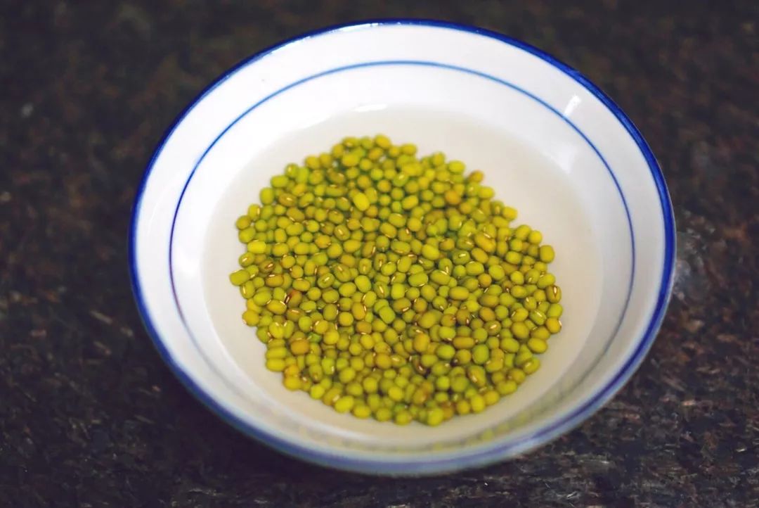 什么季节种秋豆子 364b0f372b8148c085f57e84c9188a66.jpeg