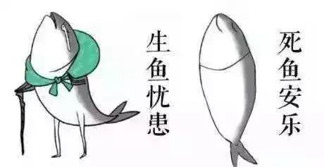 晚什么膀成语_膀晚是什么时(2)