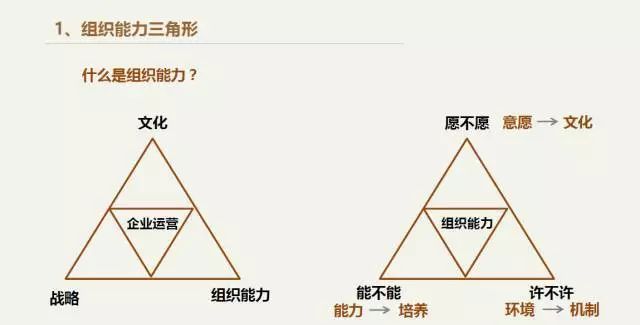 阿里前政委张丽俊当ceo的怎么提高一群人的能力相约领教工坊2019年会