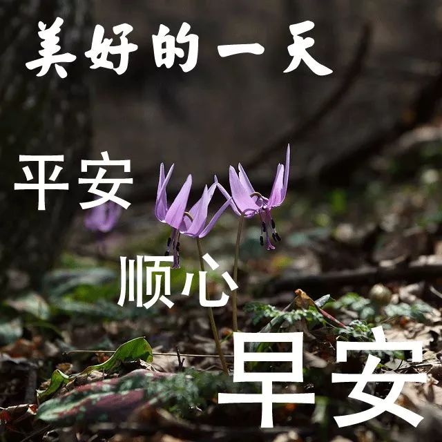 39f891c7fc9b4717a0412e97876f4851.jpeg