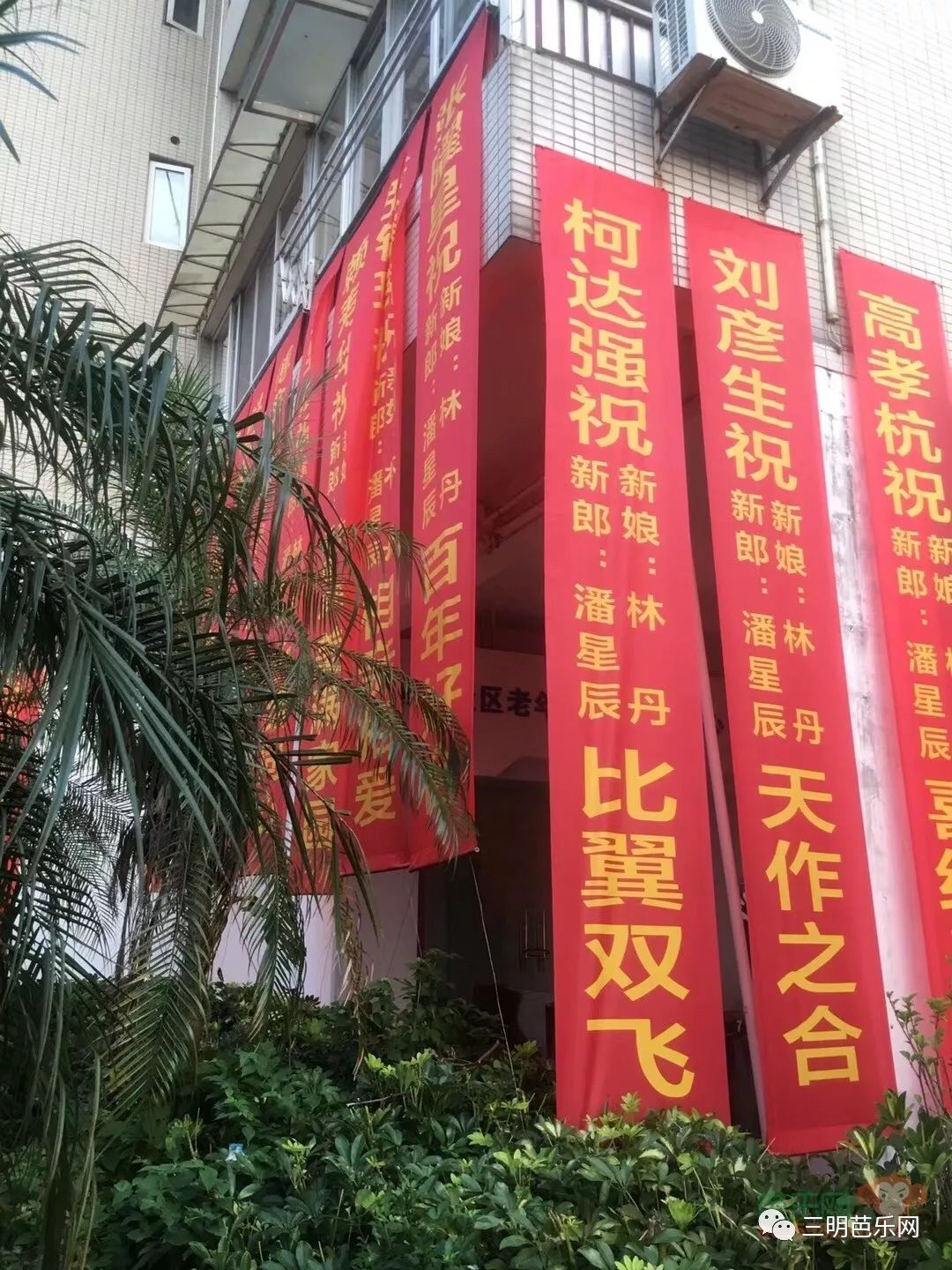 今天三明这对新人结婚，拉的条幅火了！