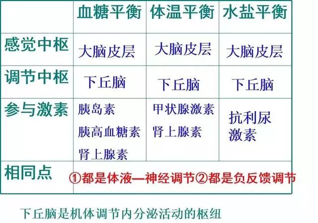 下丘脑 ②储存和释放:垂体 ③功能:促进肾小管和集合管对水的重吸收