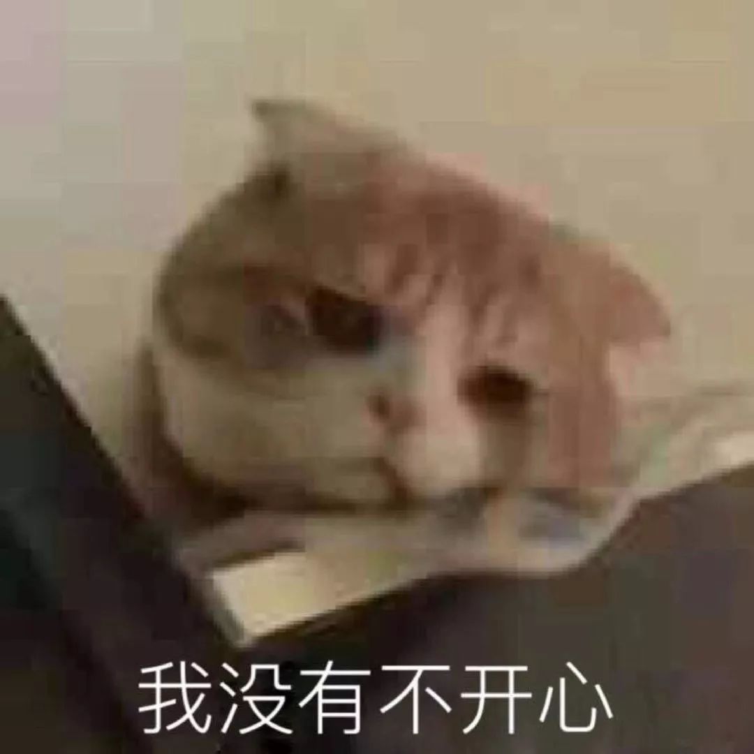4145b89b07aa445fb4e04a1ea8a07e53.jpeg
