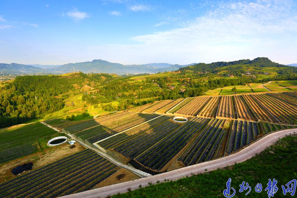 宣汉县gdp最高的镇_打call 达州三个县 区 拟入选第二批国家农产品质量安全县