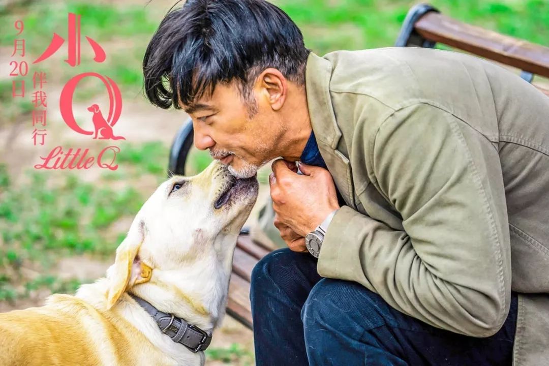 滴滴送电影票啦~邀你看萌犬《小q》!