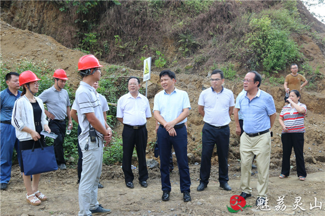 (来源:钦州市灵山县人民政府) 连日来,灵山县县长刘钦到丰塘镇,三海