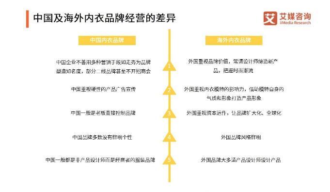 内衣市场调研报告_市场调研报告范文模板(2)