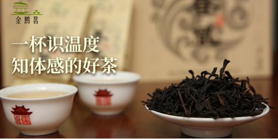 572d991a77704a0fa0fd20dec3745aff.png