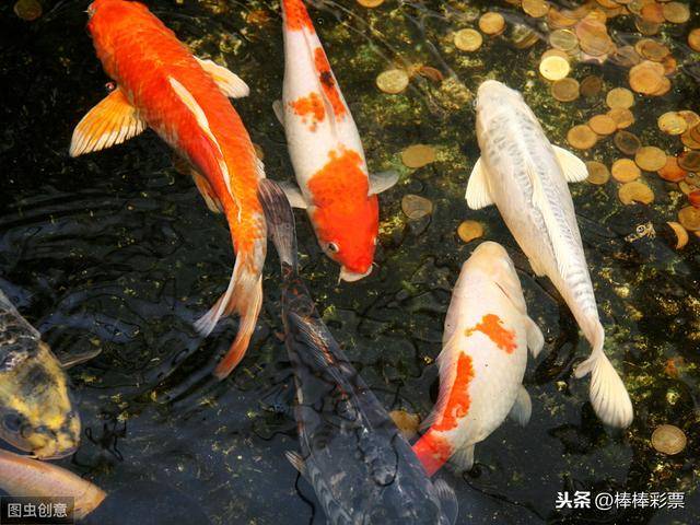 5dcdc53871284748a1b1f545958a071f.jpeg