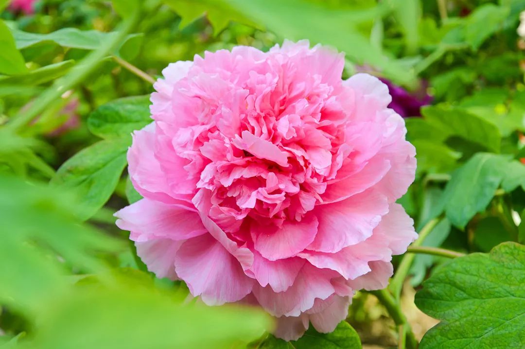 好漂亮的一段话