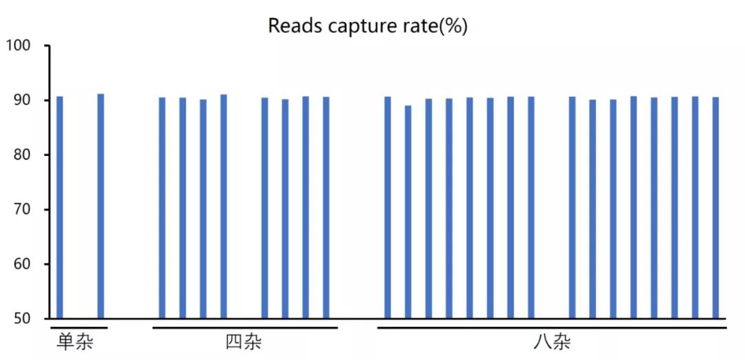 高质量基因捕获测序如何实现