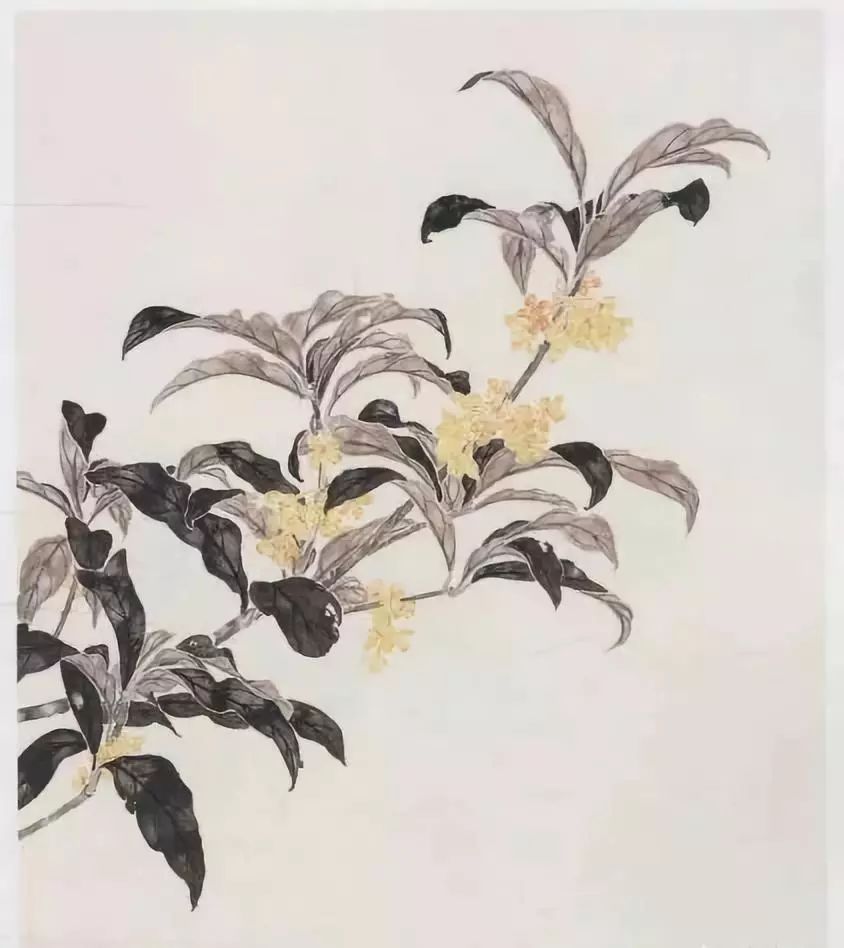 【国画教程】《桂花》画法步骤_叶子