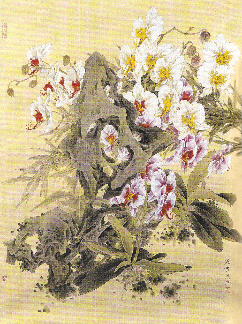 名家风采画家杨若云的工笔画创作