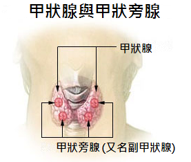 84126848af764c3f8b95384de5ae2ea1.png