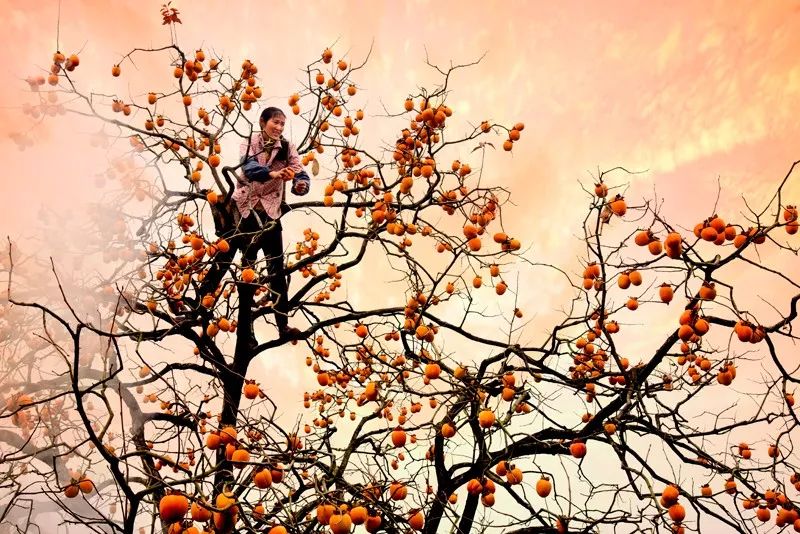 2019醉美秋色婺源、宏村、塔川7天摄影创作