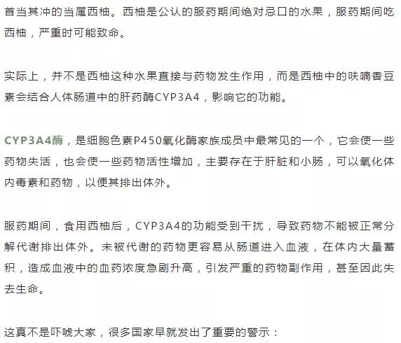 西柚简谱_西柚图片