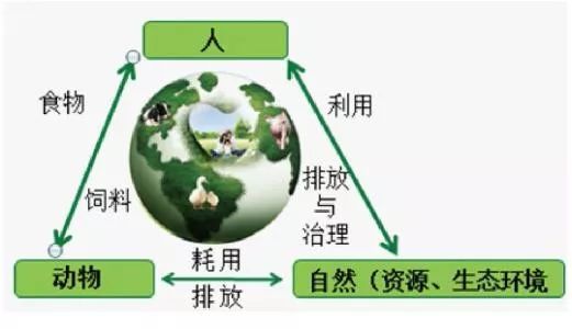 南漳县经济总量_南漳县巡检镇卞和石象(2)
