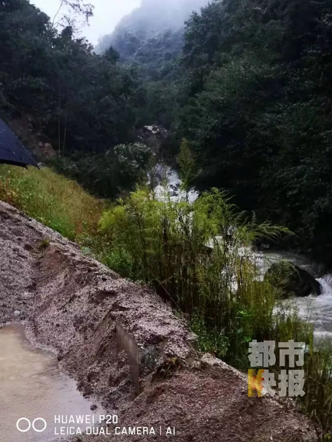 洋县城区人口_洋县城区全景(2)