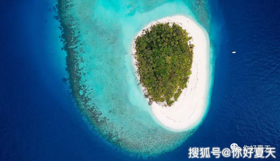 世界最年轻的岛屿,还被评为世界自然遗产