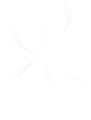 a1ee60d662c442b7bc2612996690cc78.gif