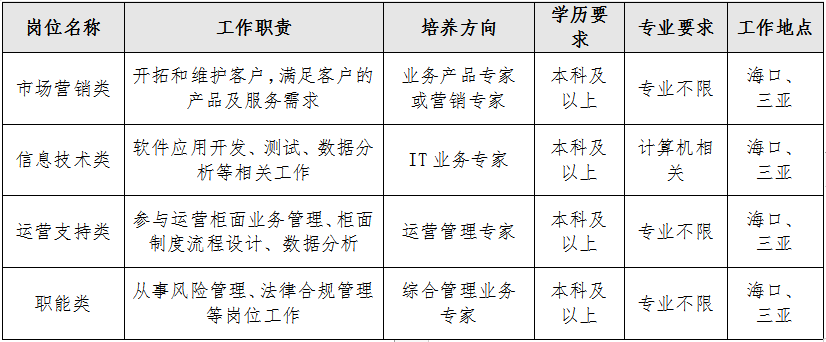 海口IT外包