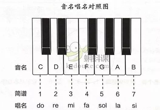 简谱的规律_月亮的变化规律(2)